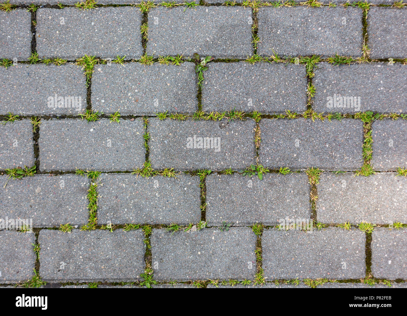 the grass grows through the concrete tile pattern texture background
