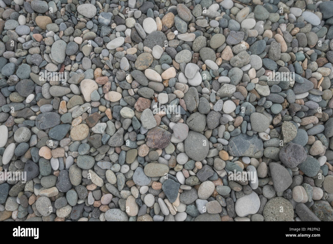 abstract pattern texture background pebble on beach Stock Photo - Alamy