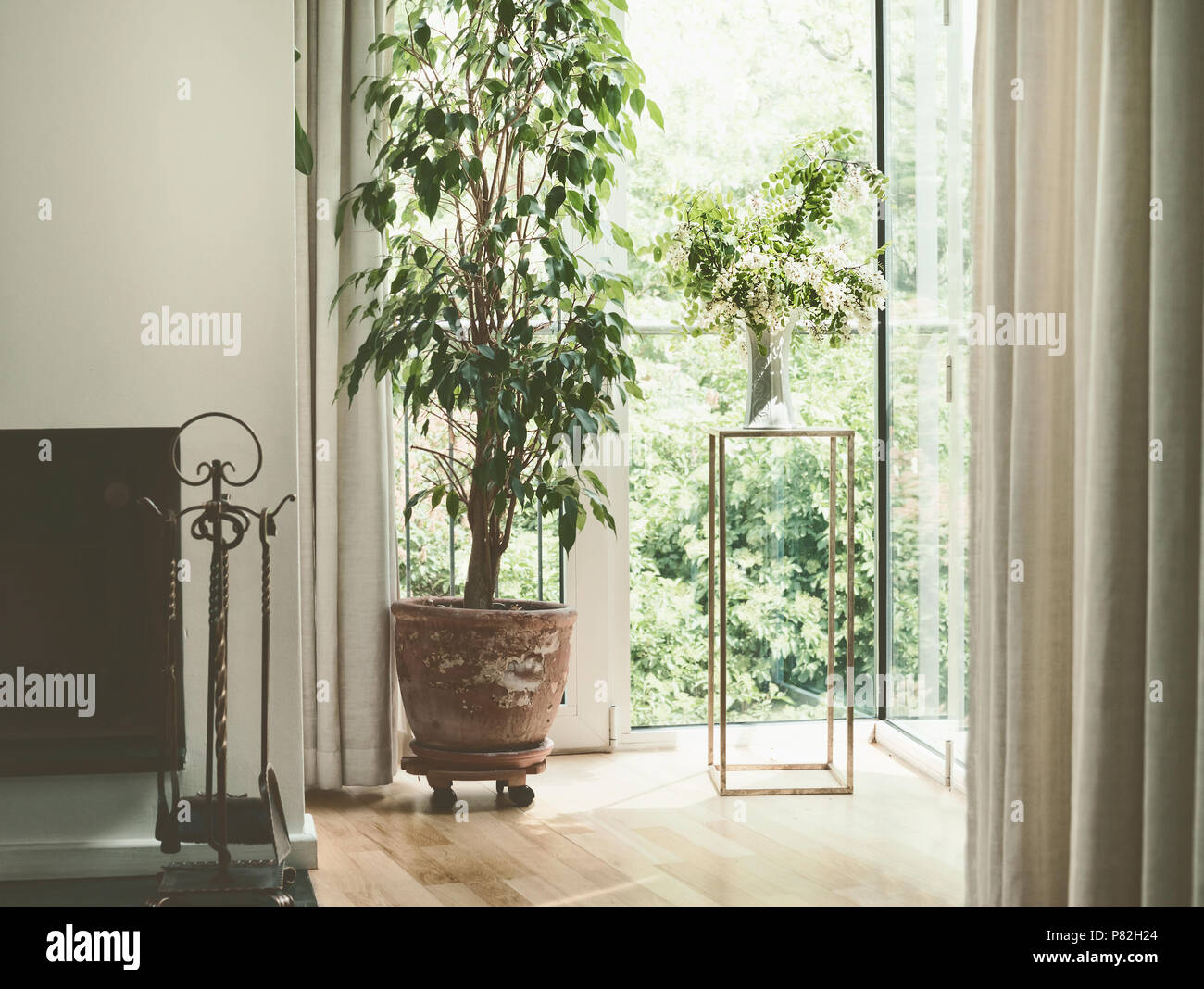 Cozy Home Interior Design With House Plants At Window