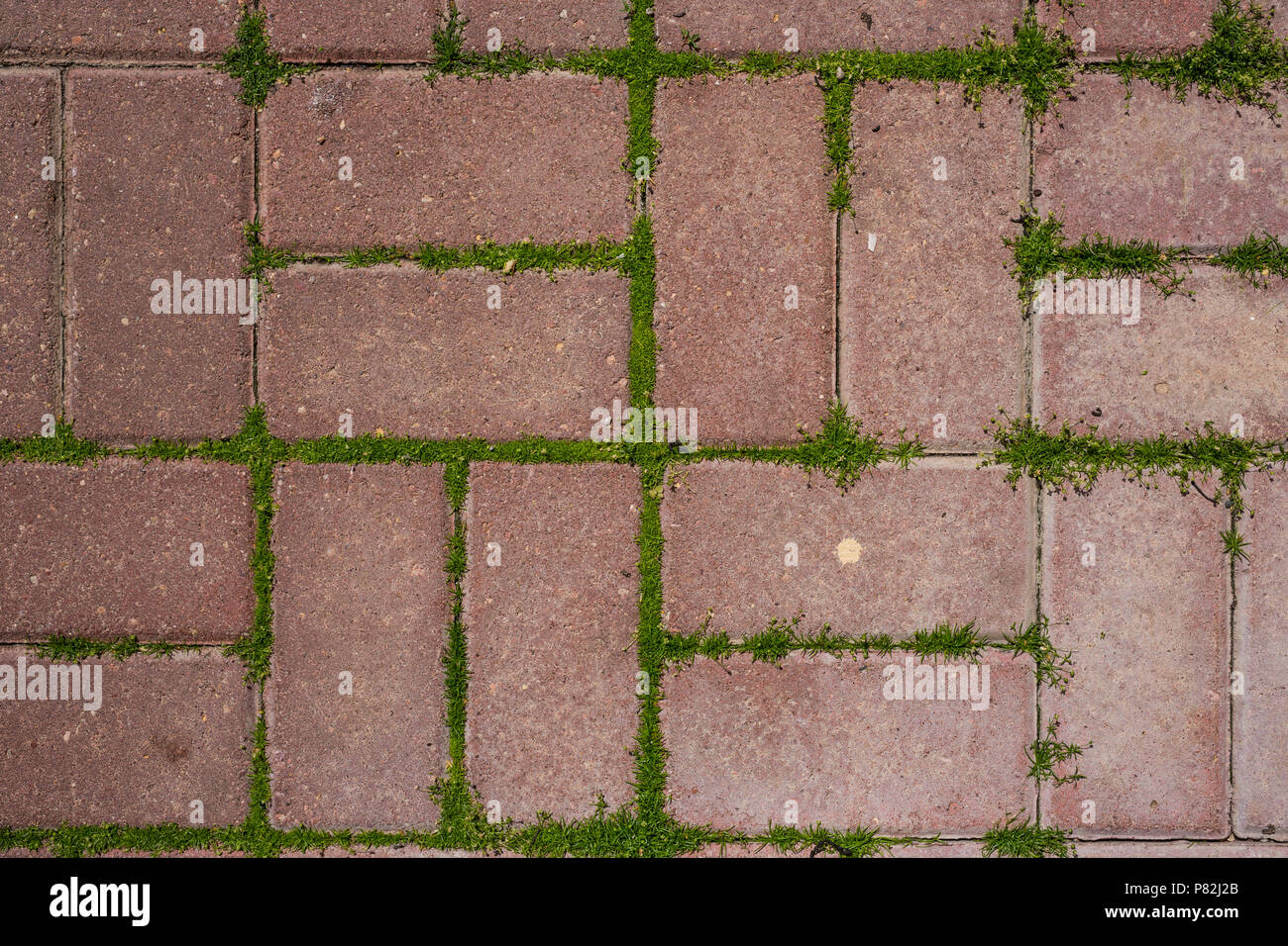 red concrete tile on the ground pavement path abstract pattern texture
