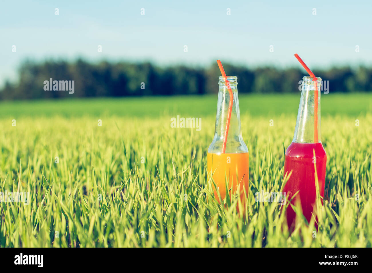 Summer party fresh beverage alcoholic Coctails red and orange in bottles standing in summer grass with straw Stock Photo