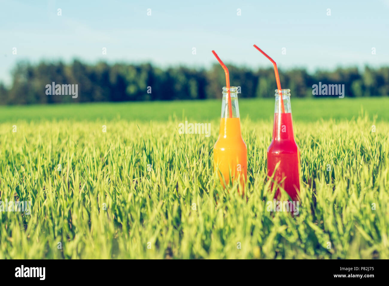 Alcoholic fresh beverage Coctails party red and orange in bottles standing in summer grass with straw Stock Photo