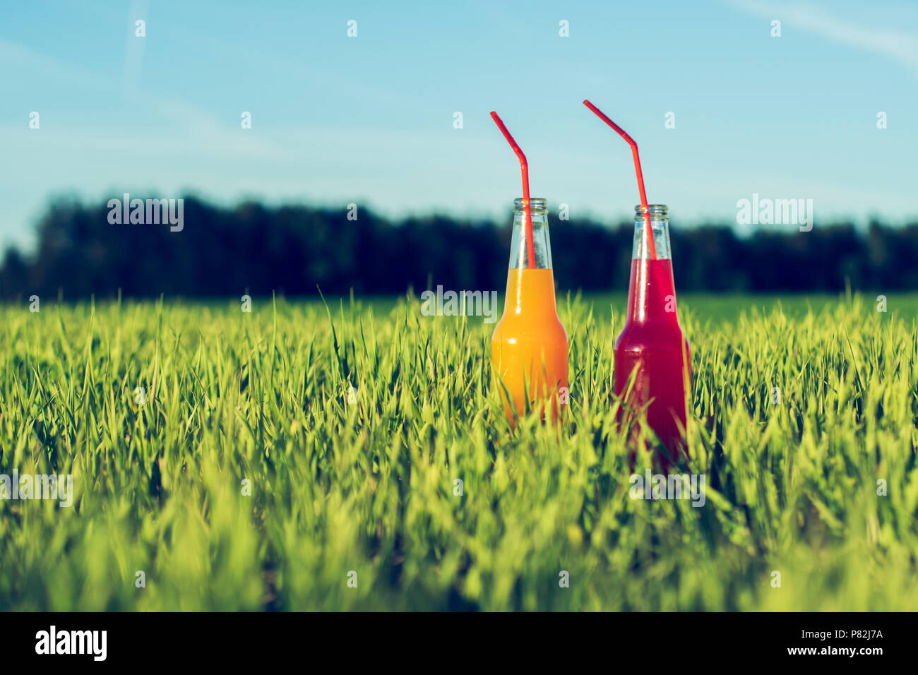 Alcoholic party Coctails red and orange fresh beverage in bottles standing in summer grass with straw Stock Photo