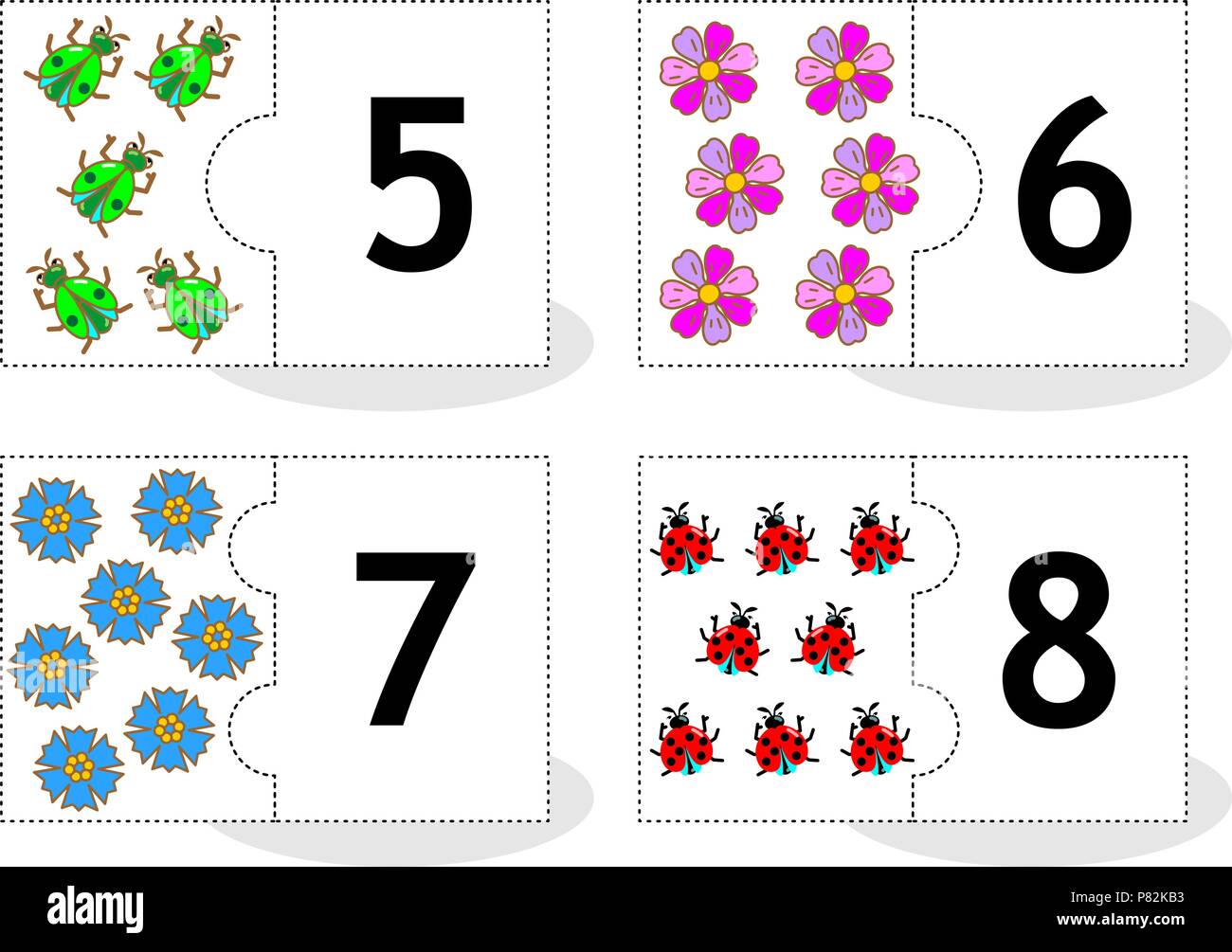 Learn counting 2-part puzzle cards to cut out and play, with beetles, flowers, ladybugs, numbers 5 - 8 Stock Vector