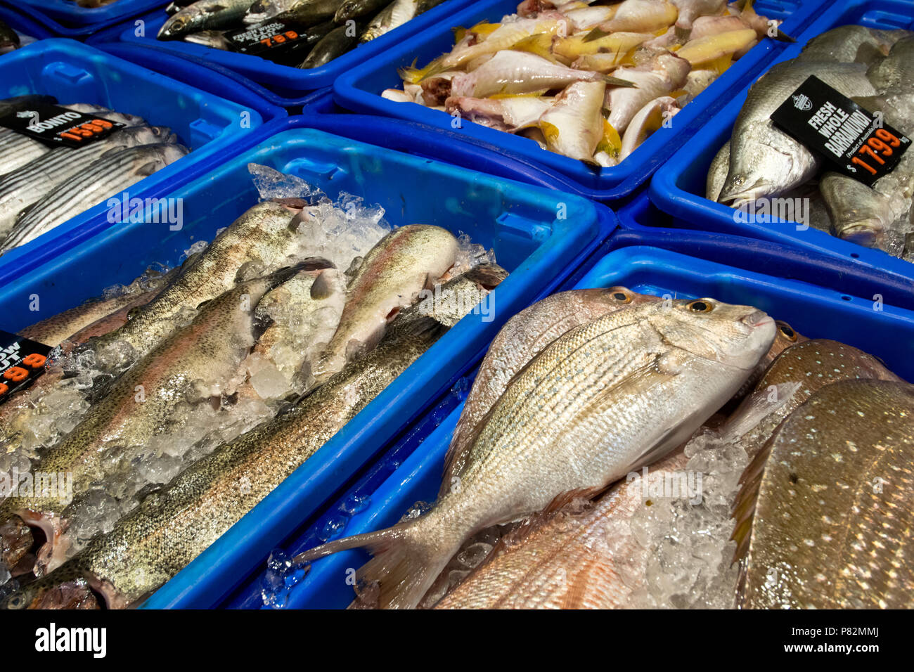 Fresh fish.Fish Market in Sydney. Austarlia. Stock Photo