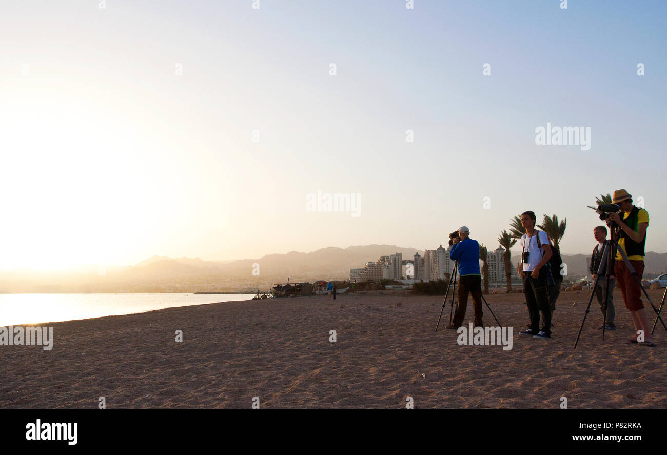 Birdwatchers at North beach, Eilat, Israel Stock Photo
