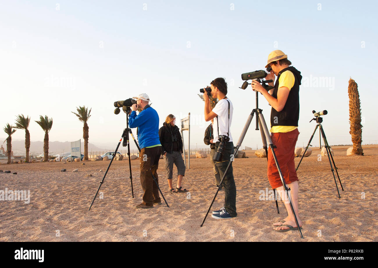 Birdwatchers at North beach, Eilat, Israel Stock Photo