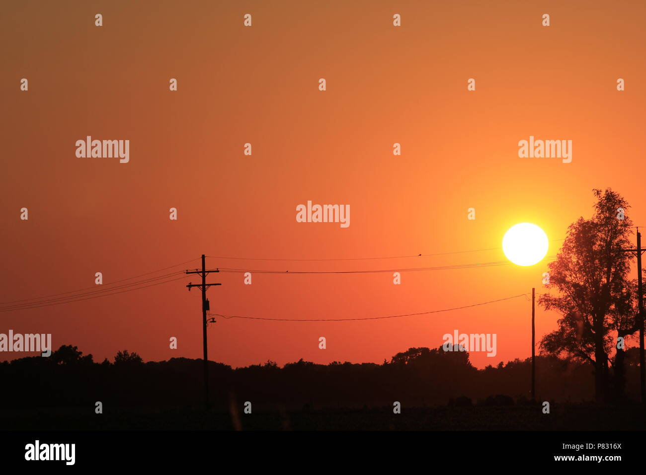 Red and Yellow Sunset with Power Lines and poles with tree's that's bright and colorful. Stock Photo