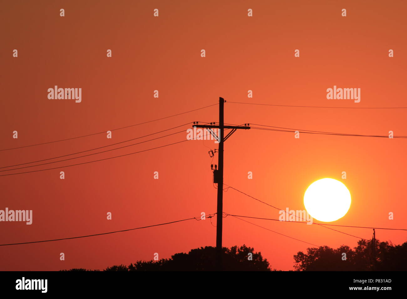 Red and Yellow Sunset with Power Lines and poles with tree's that's bright and colorful. Stock Photo
