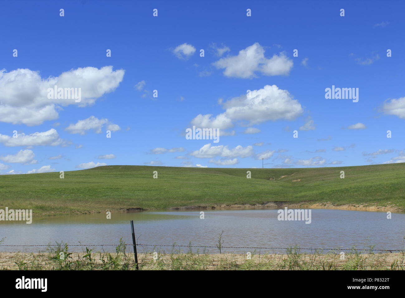 Kansas Green Pasture with a farm pond, blue sky, and clouds north of Lucas Kansas out in the country. Stock Photo