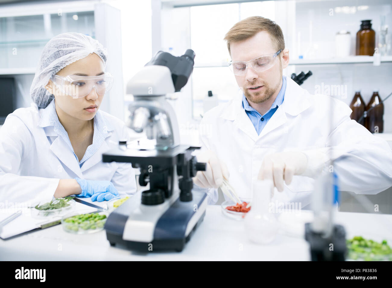 Two Scientists Doing Research in Laboratory Stock Photo