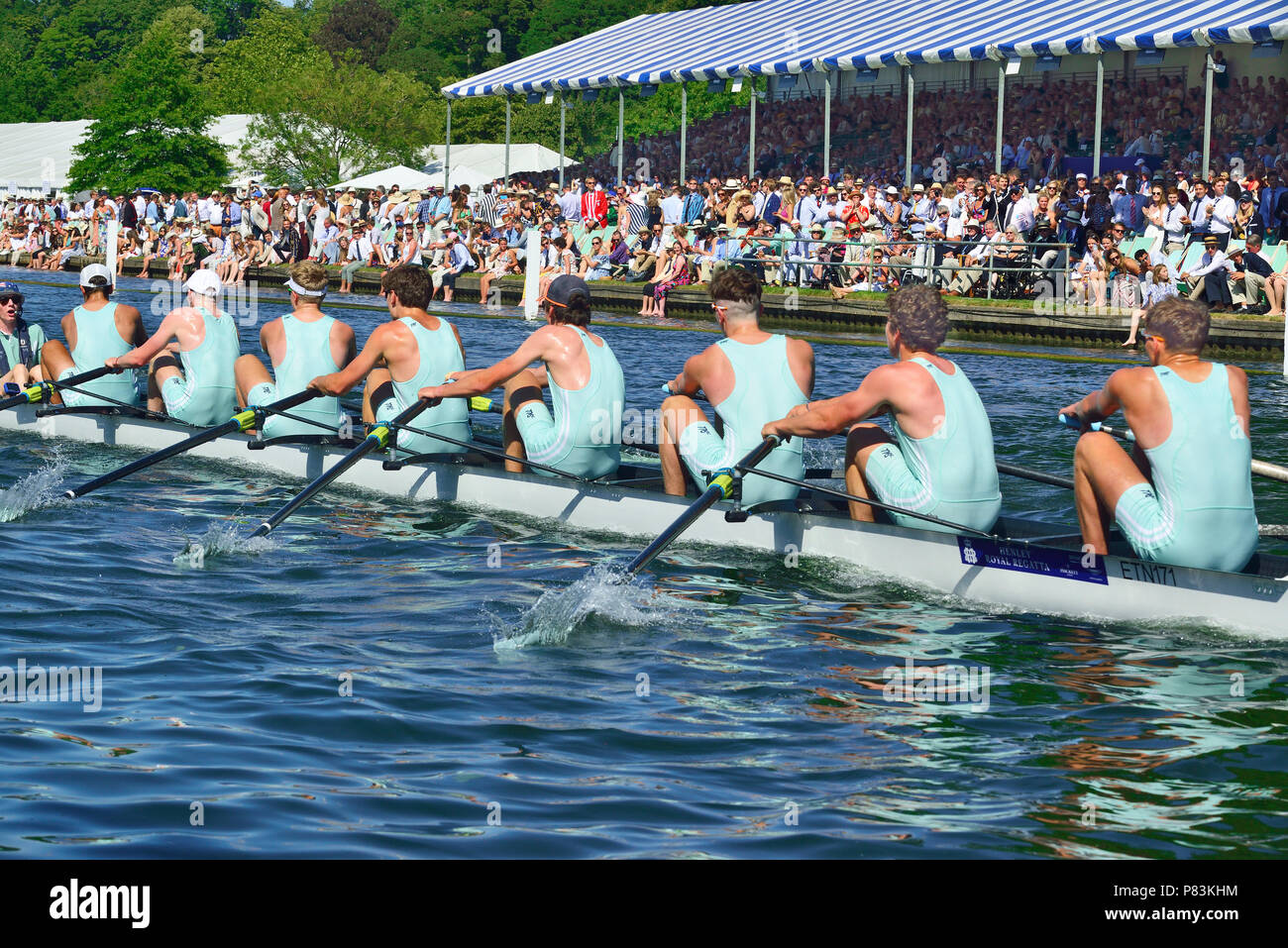 Rowing comptetion hires stock photography and images Alamy
