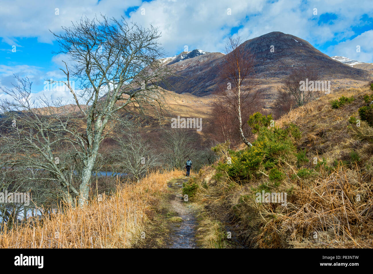 Slioch (980m) and Sgùrr Dubh (738m) from the track to Letterewe, by Loch Maree, near Kinlochewe, Highland Region, Scotland, UK Stock Photo