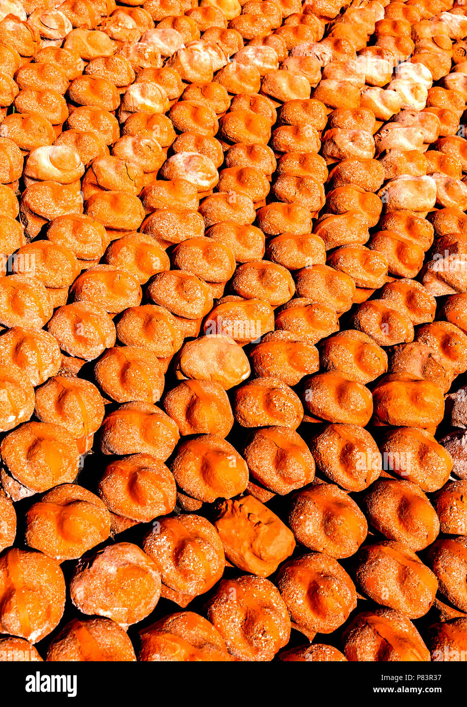 600,000 clay figures at the ComingWorldRememberMe installation in Palingbeek, Belgium in remembrance of the horror and futility of war Stock Photo