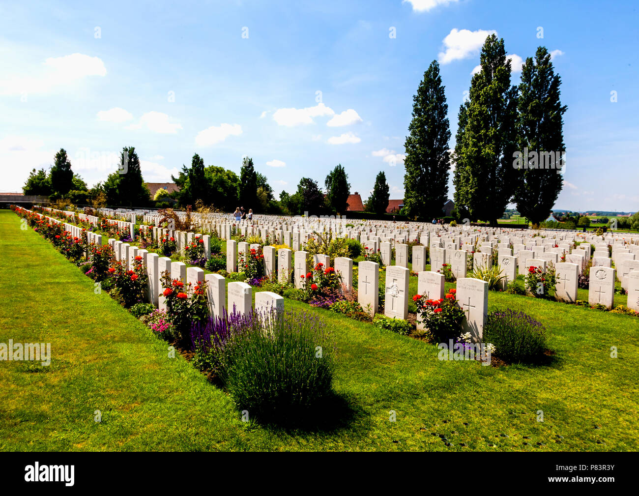 Headstones of Commonwealth soldiers killed in the First World War line the graves at Tyne Cot Cemetery near Ypres in Belgium Stock Photo