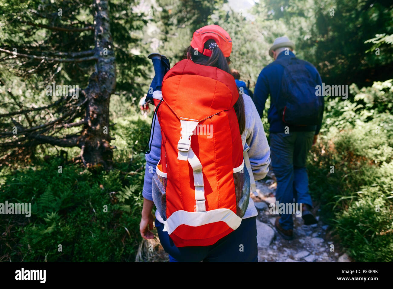 Group of tourists with backpack walking forest. Travel and backpacking lifestyle concept Stock