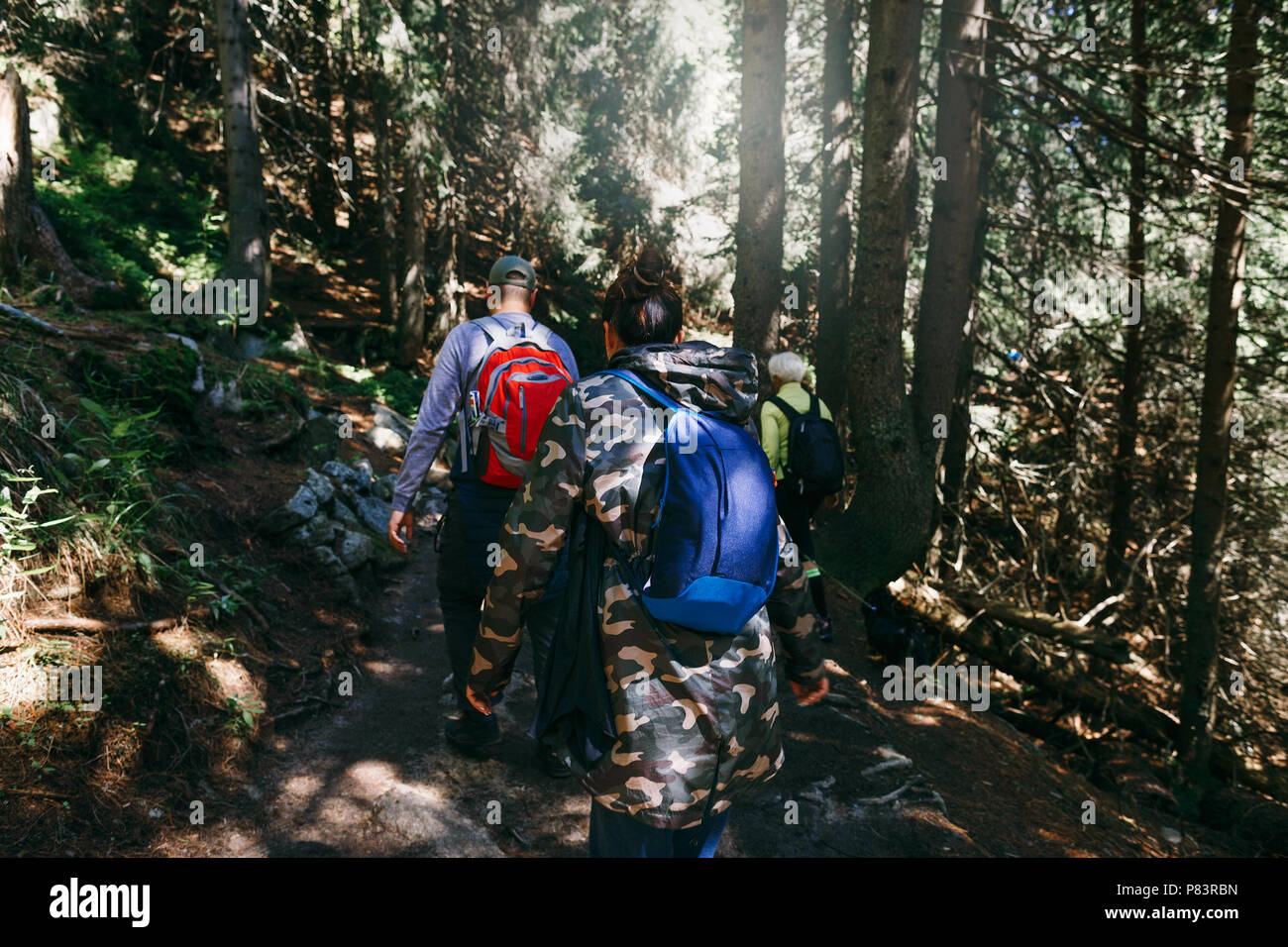 Group of tourists with backpack walking dense forest. Travel and backpacking lifestyle concept