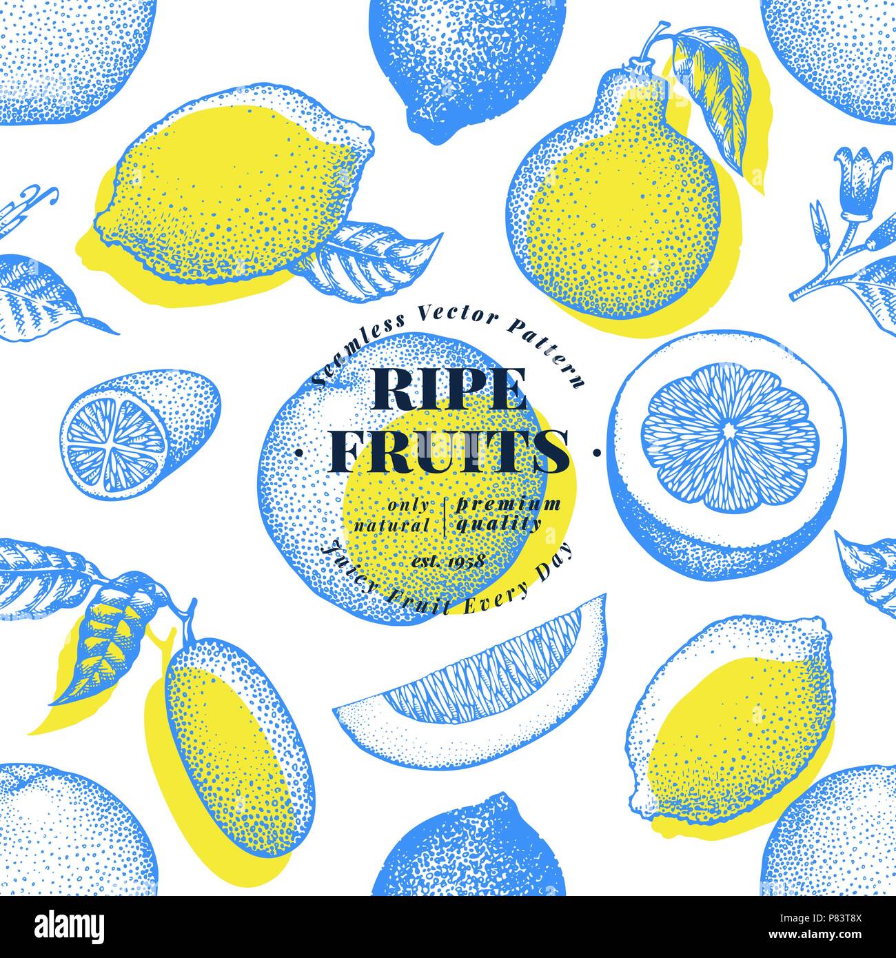 Citrus fruits seamless pattern. Hand drawn vector fruit illustration ...