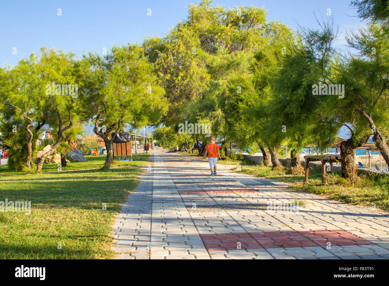 Boy walking in park near beach. Ierissos, Greece. Stock Photo