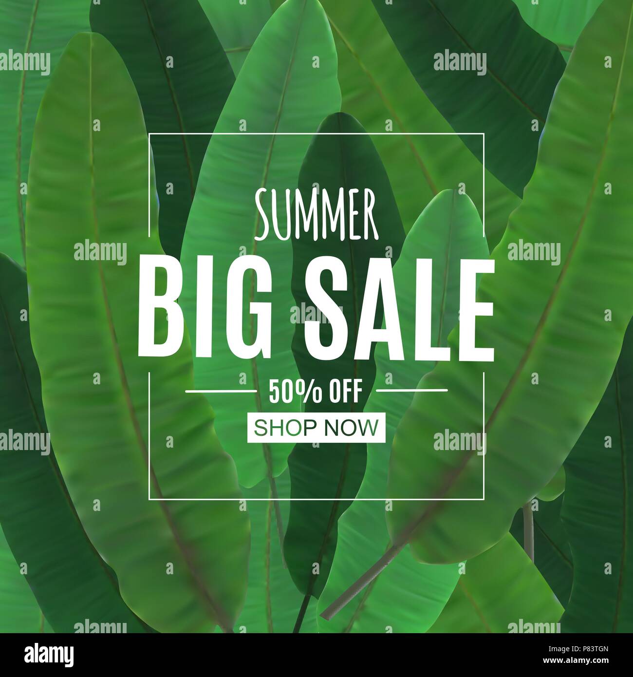 Abstract Summer Sale Background with Palm Leaves. Vector Illustration ...