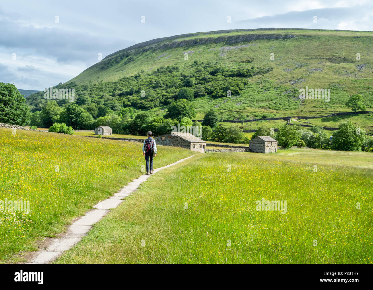 Walking through the wildflower meadows and field barns of upper Swaledale near Muker in the Yorkshire Dales UK Stock Photo