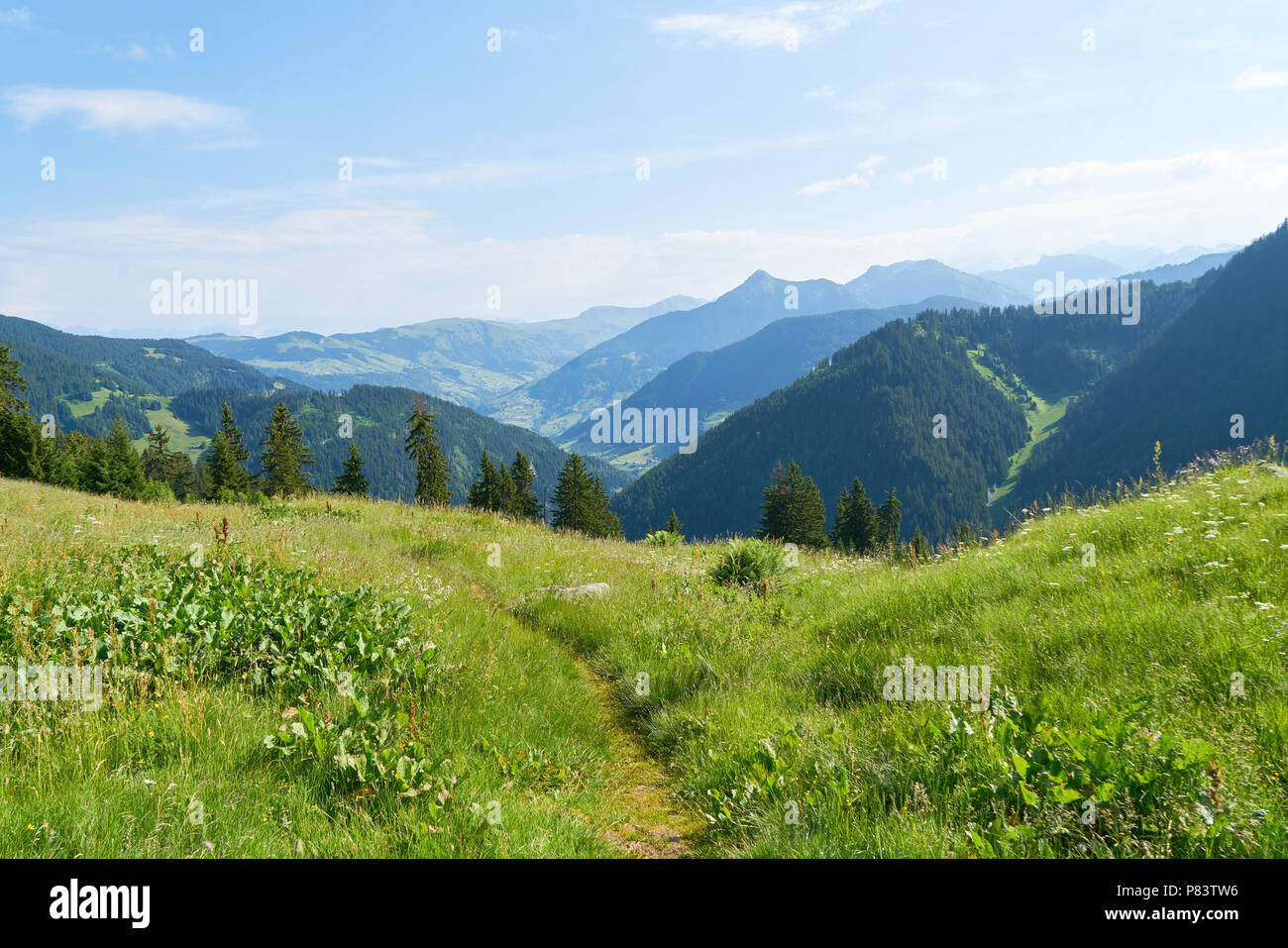 View of French Alps in summer from an alp Stock Photo