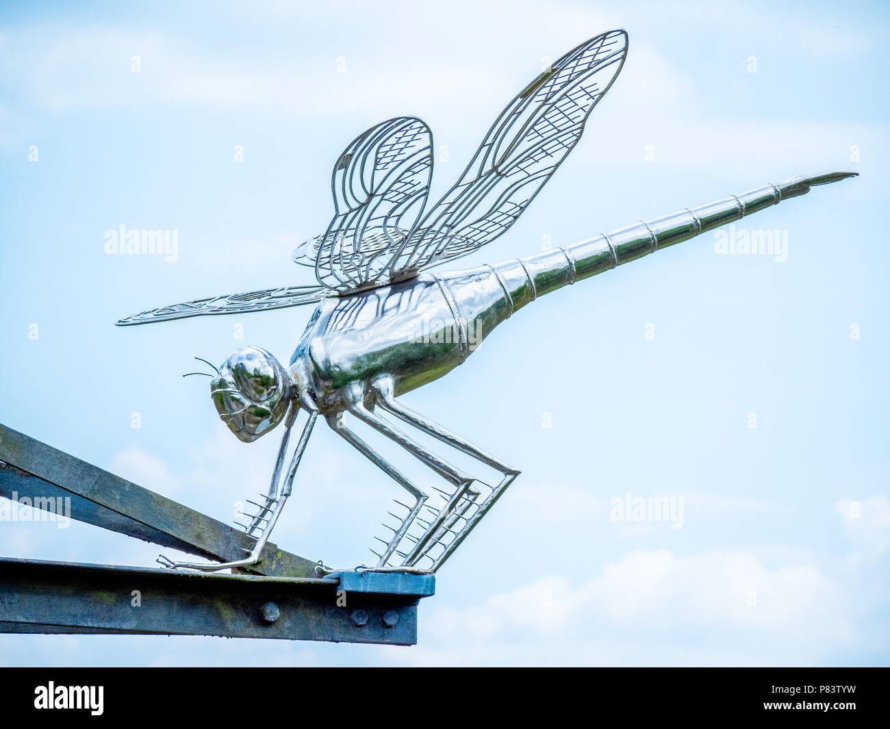 Large stainless steel sculpture of a darter dragonfly perched on a disused electricity pylon in Thursley Common in Surrey UK Stock Photo