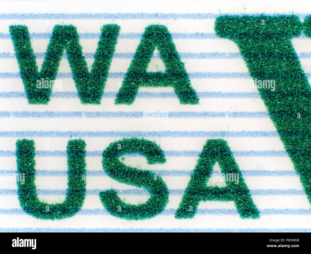 Extreme macro shot (micrograph) of Washington state driver's license detail Stock Photo