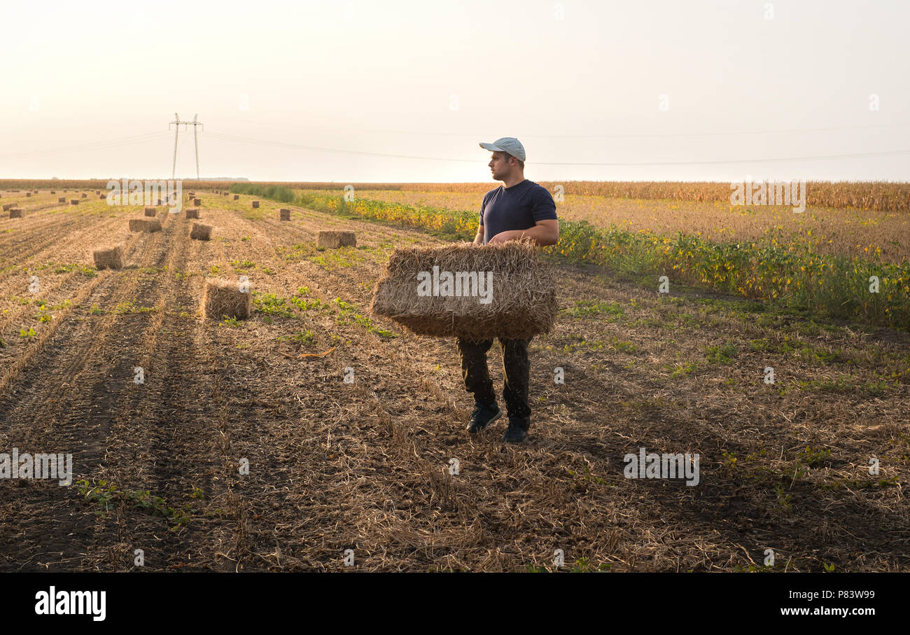 Straw Bale Gardening: A Beginner's Guide