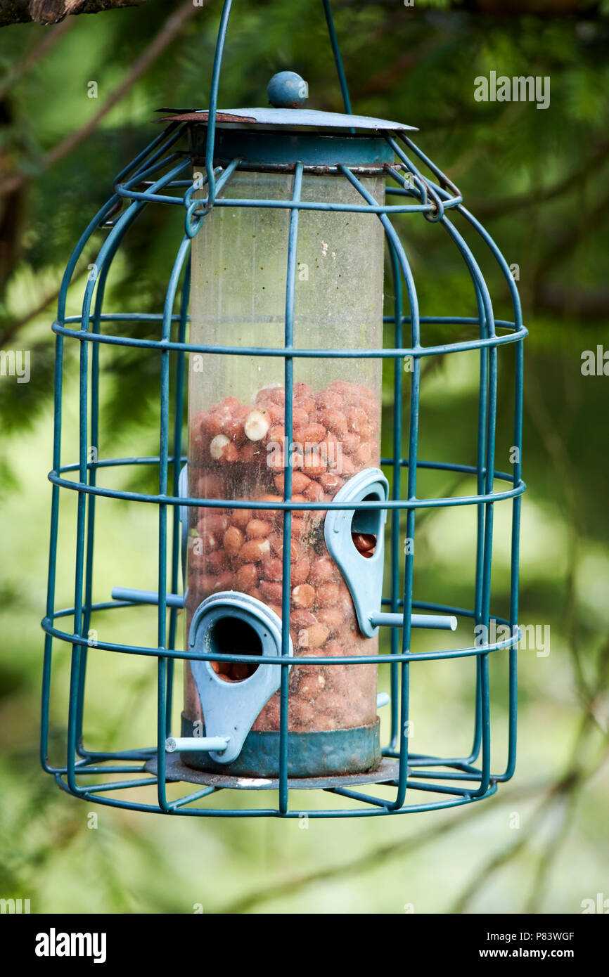 Squirrel Proof Feeder Stock Photos Squirrel Proof Feeder Stock