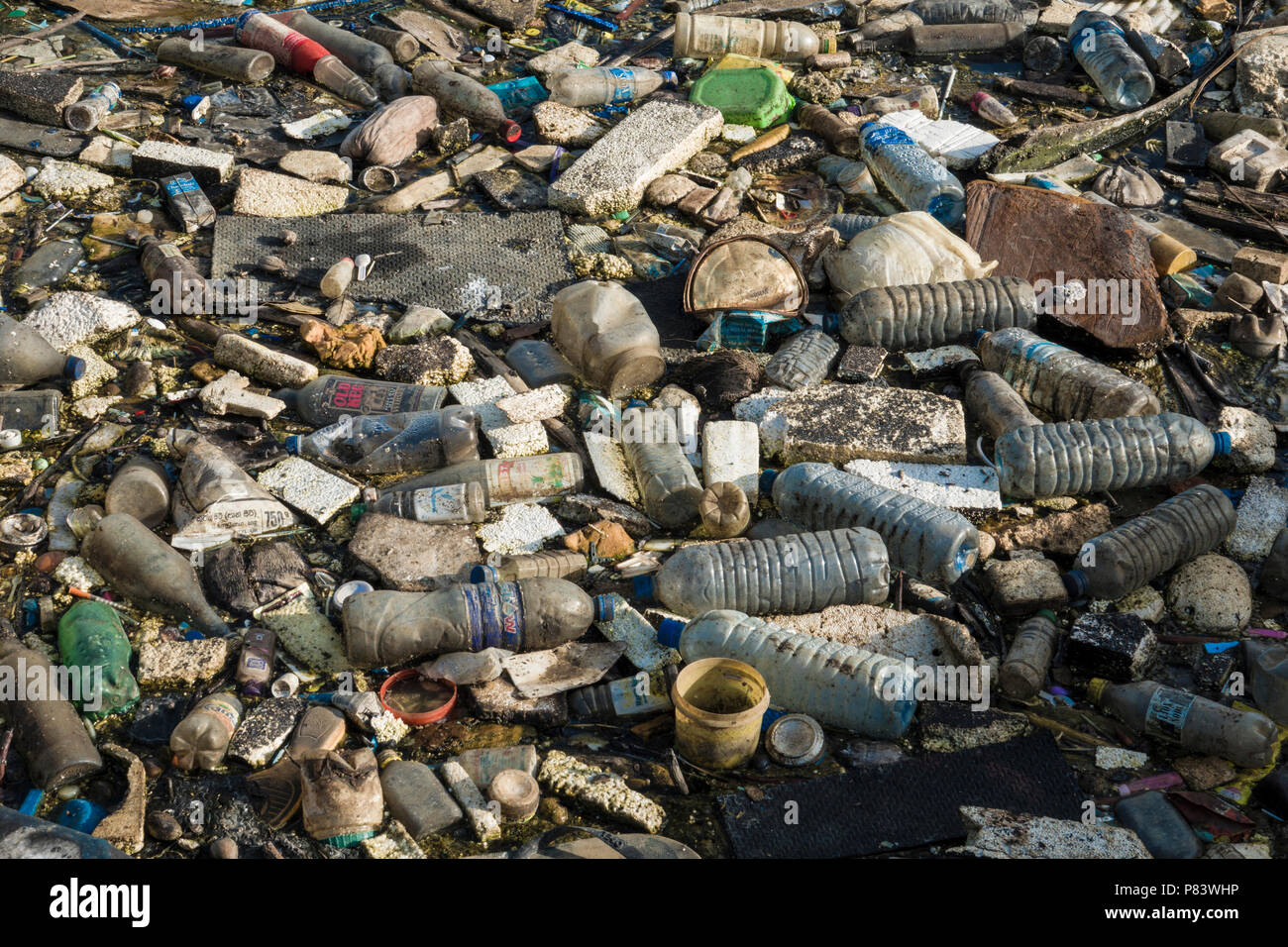 Plastic bottles, polystyrene and other assortment of trash completely