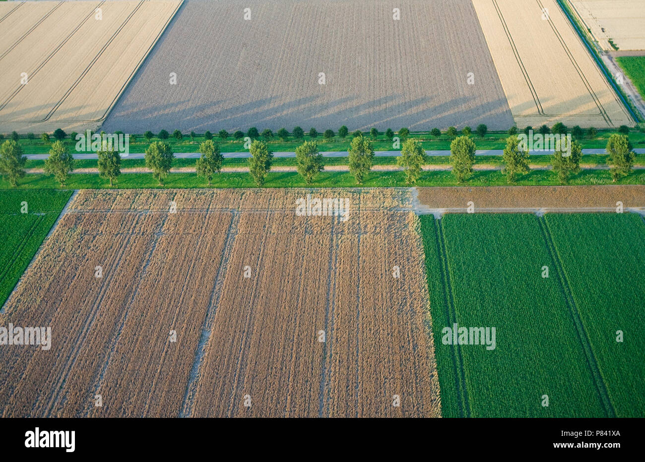 Luchtfoto van de Flevopolder; Aerial photo of the Flevopolder Stock Photo