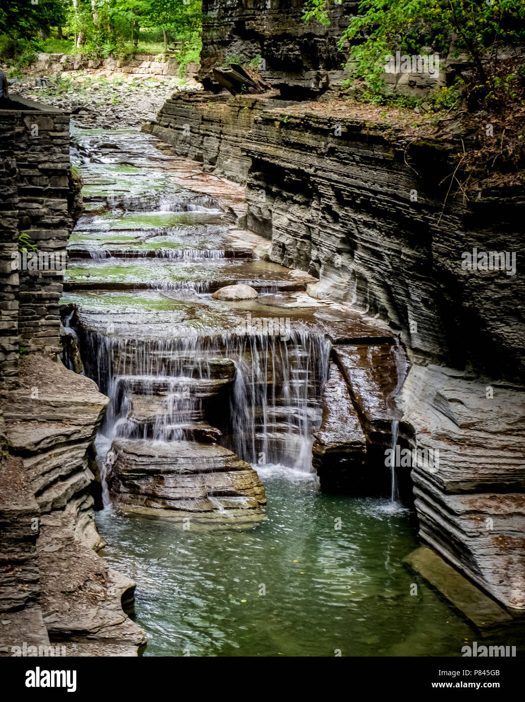 Robert H Treman State Park