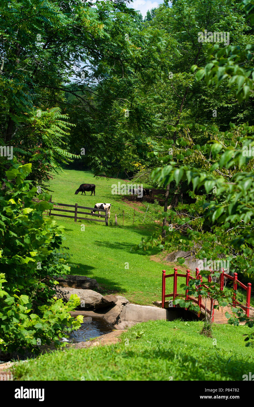Japanese Red Miniature Landscape Bridge Stock Photos