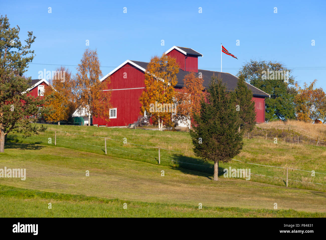 Rural Norwegian landscape with red wooden barn and flag waving on a  flagpole. Trondheim region Stock Photo - Alamy