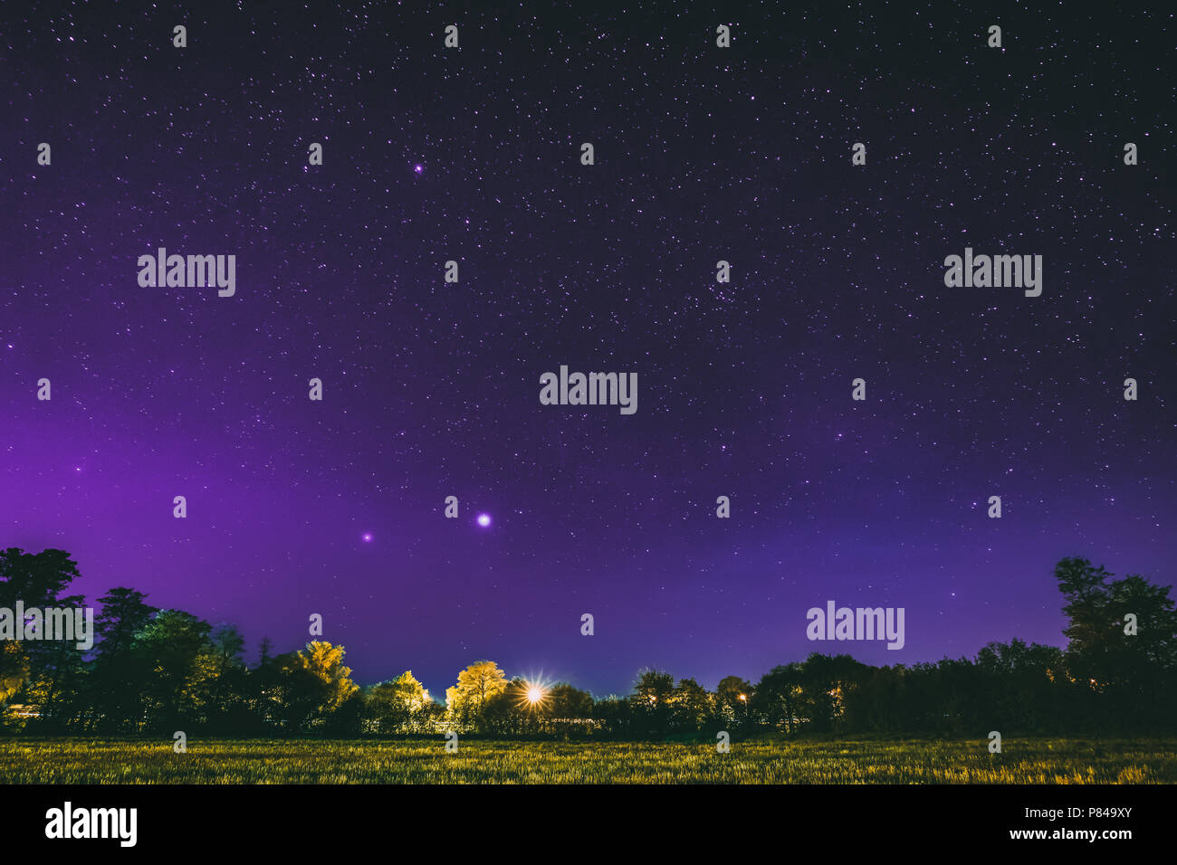 Green Trees Woods In Park Under Purple Magenta Night Starry Sky. Night Landscape With Glowing Stars Over Forest, Meadow At Summer Season. Stock Photo