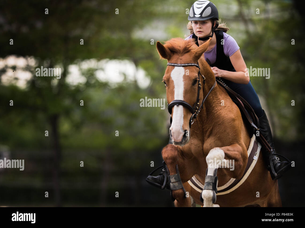 Young pretty girl riding a horse -  jumping over hurdle with in spring time Stock Photo