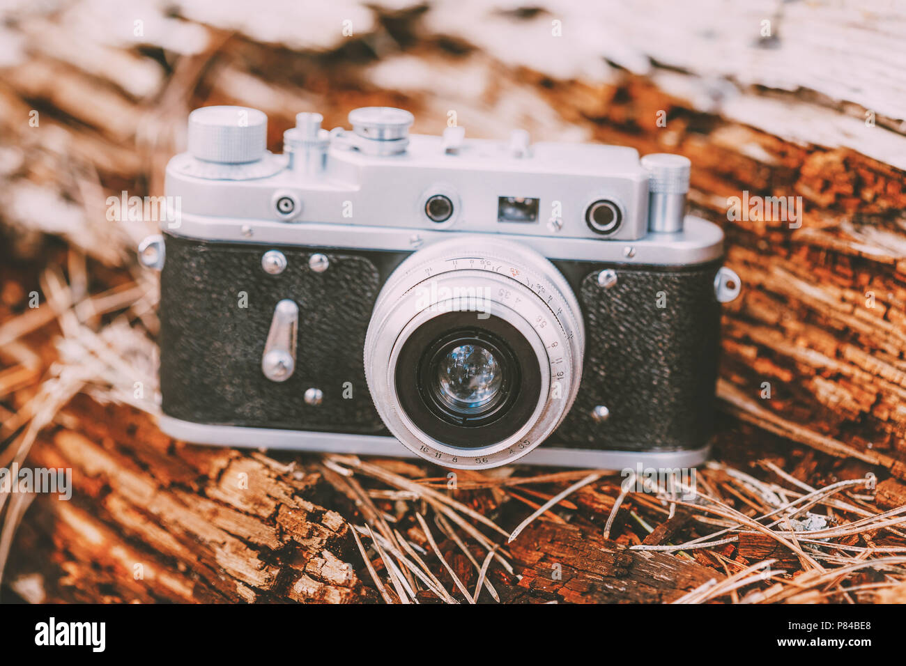 35mm Vintage Old Retro Small-Format Camera On Old Fallen Wood Tree In Forest. Stock Photo