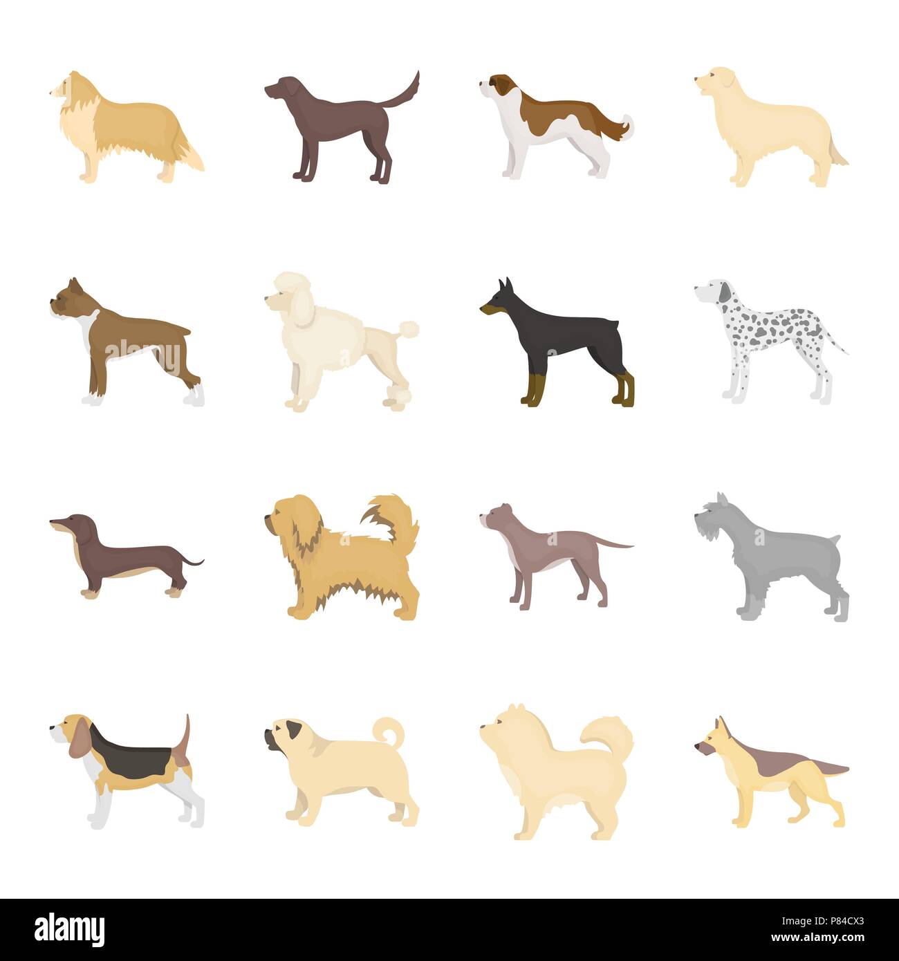 animal,beagle,bernard,boxer,breed,breeding,breeds,bull,care,carnivorous,cartoon,chao-chao,collection,collie,concept,dachshund,dalmatian,decorative,design,different,doberman,dog,element,eps,face,gray,hair,icon,illustration,isolated,labrador,logo,mammal,mittelschnauzer,official,paw,pet,pikines,pit,poodle,pug,retriever,set,shepherd,sign,symbol,vector,web,white Vector Vectors , Stock Vector