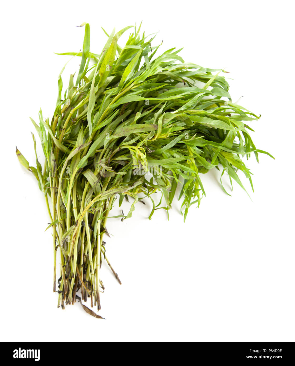 Fresh tarragon leaves Stock Photo Alamy