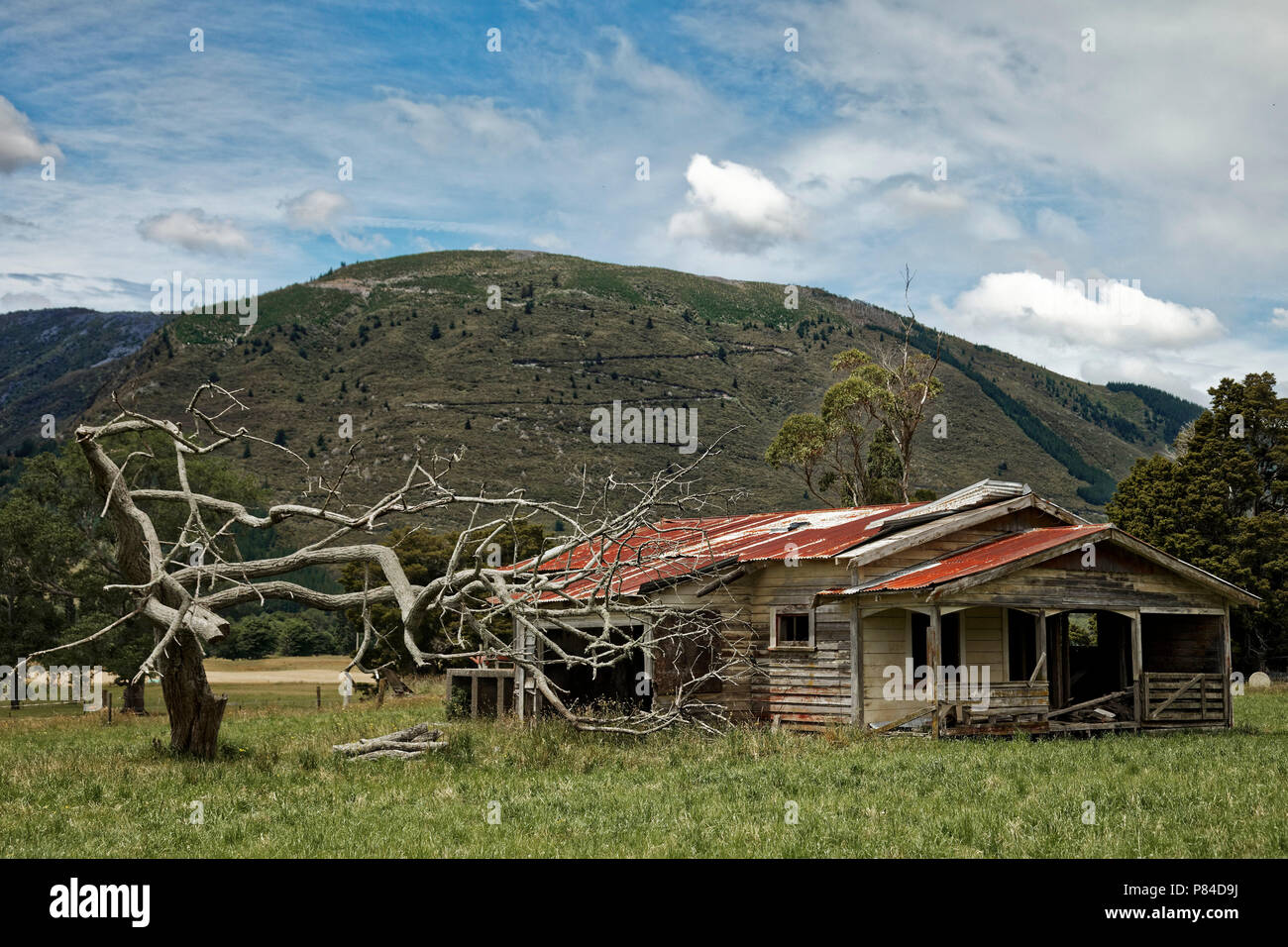 Derelict cottage ideal doer upper for the handyman Stock Photo