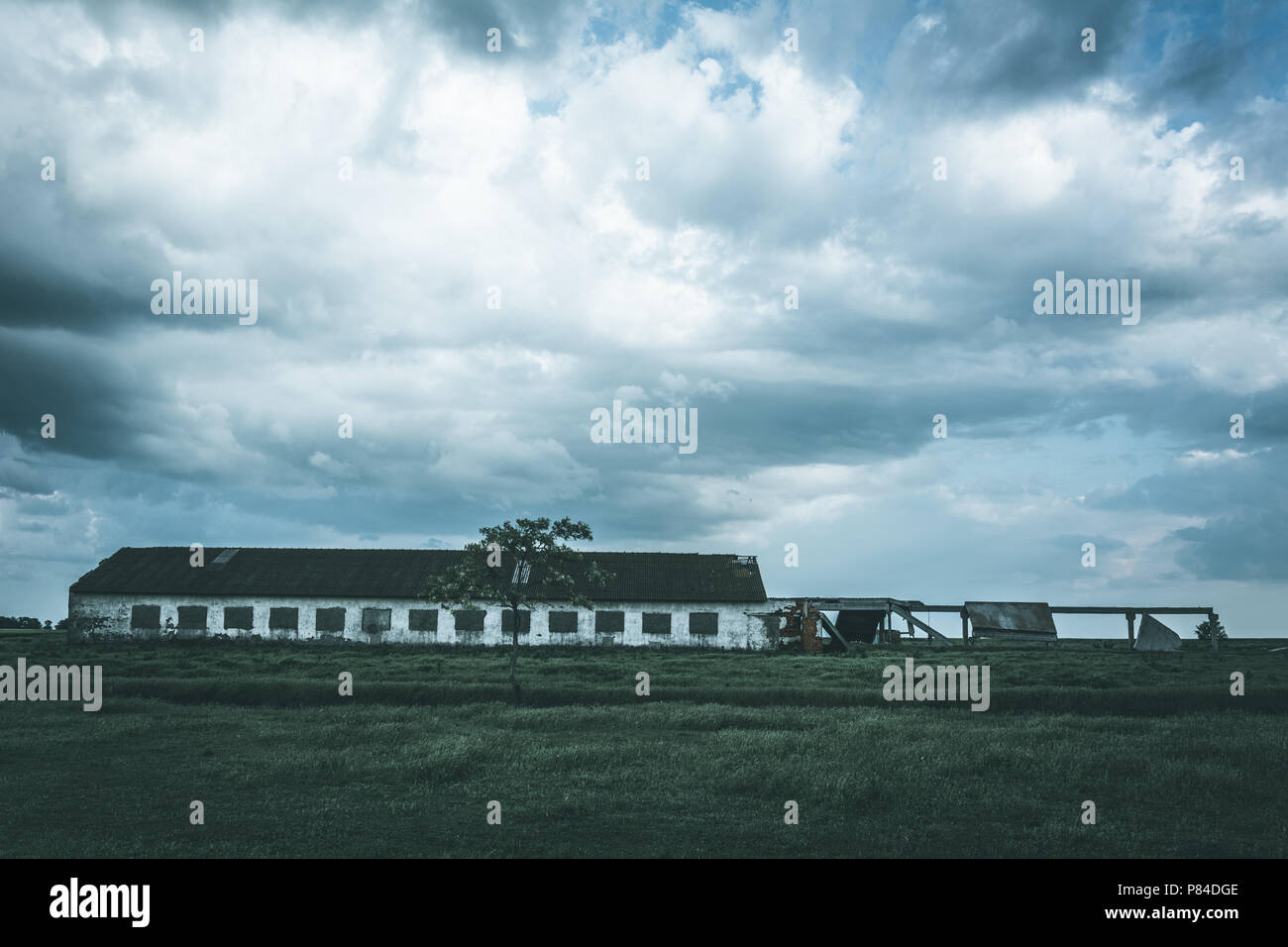 Ruined cowshed in the field, mody effect Stock Photo