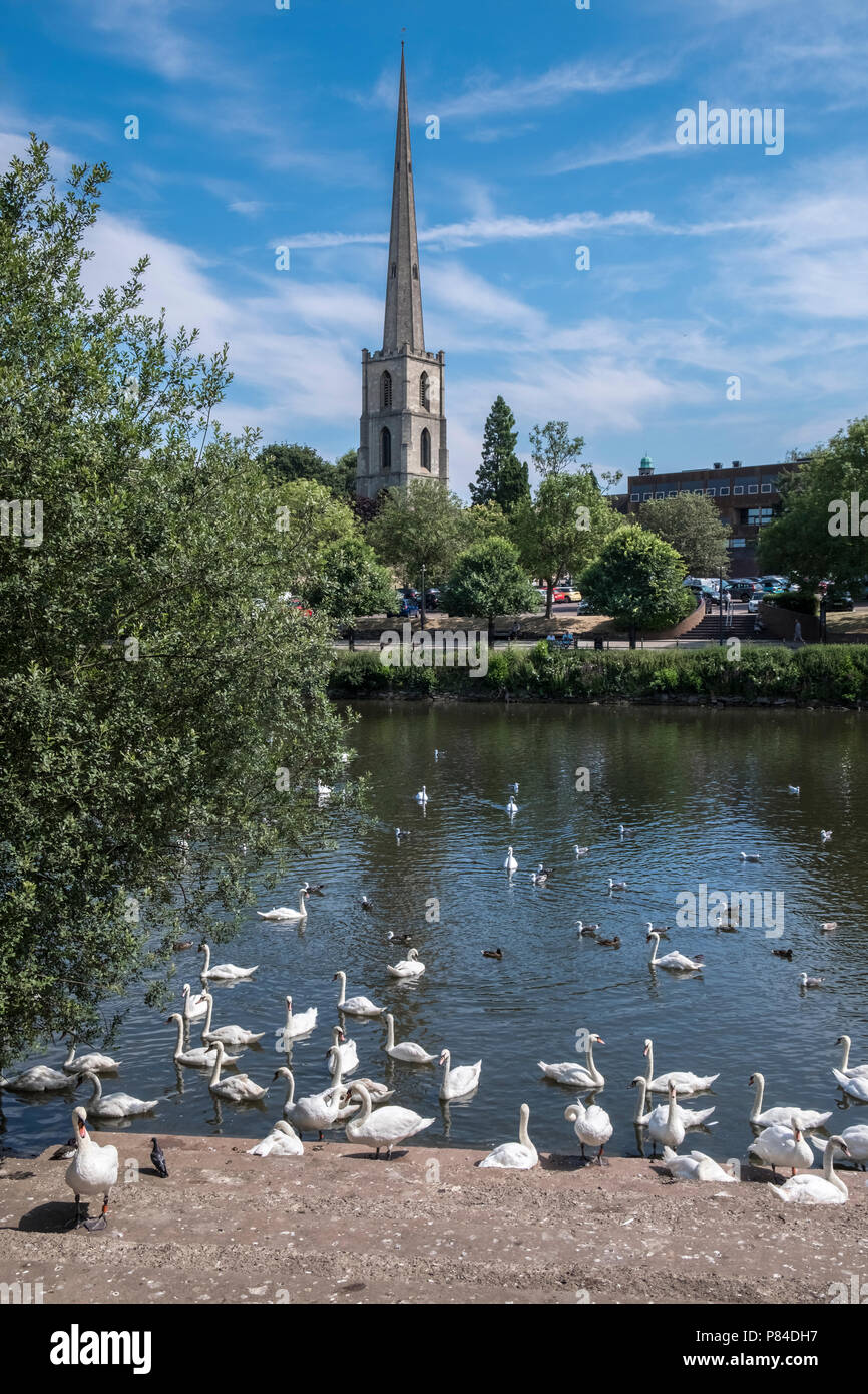 Glovers Needle (aka St Andrews Spire), a tall local landmark in the City of Worcester close to the River Severn, Worcestershire, West Midlands, UK Stock Photo