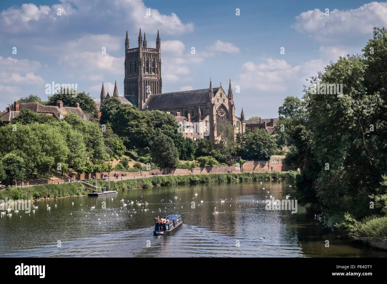 A barge sailing on the River Severn through the City of Worcester, with Worcester Cathedral in the backgound, Worcestershire, West Midlands, England. Stock Photo