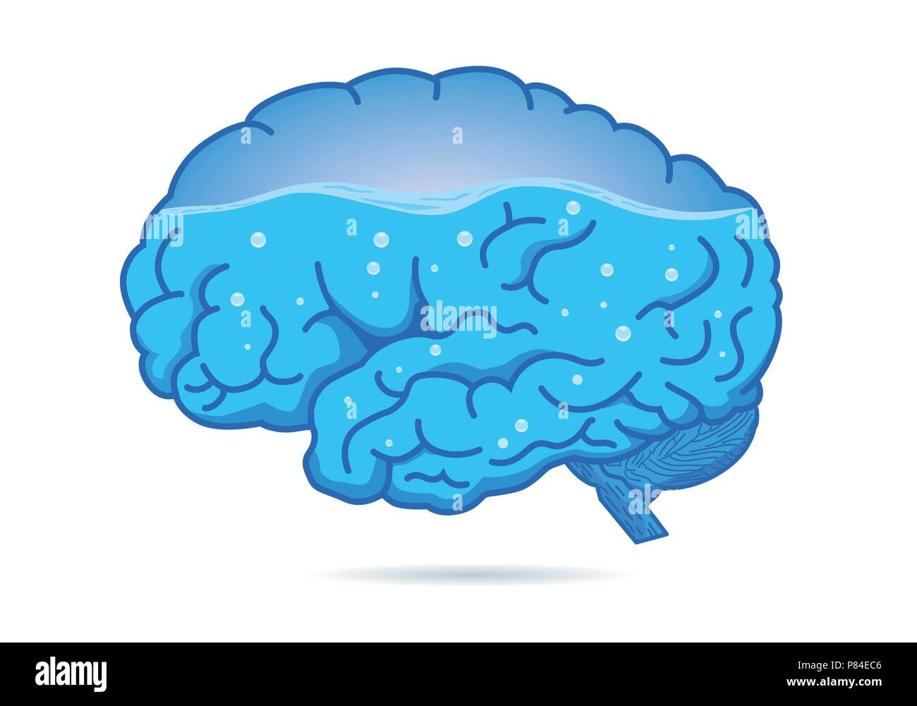 Water inside of the human brain isolated on white background. Stock Vector