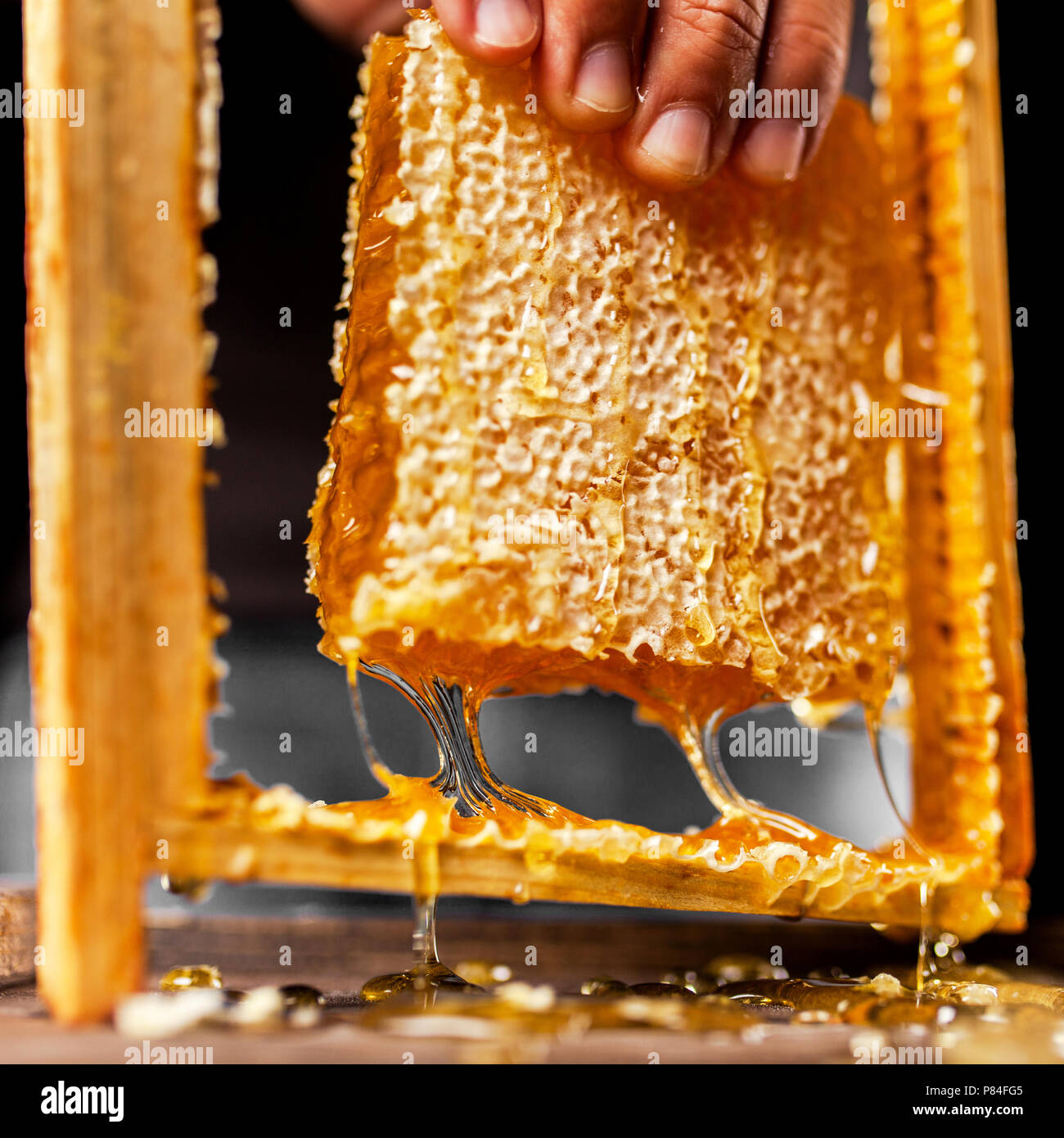 Honey Comb - 7 Bahar