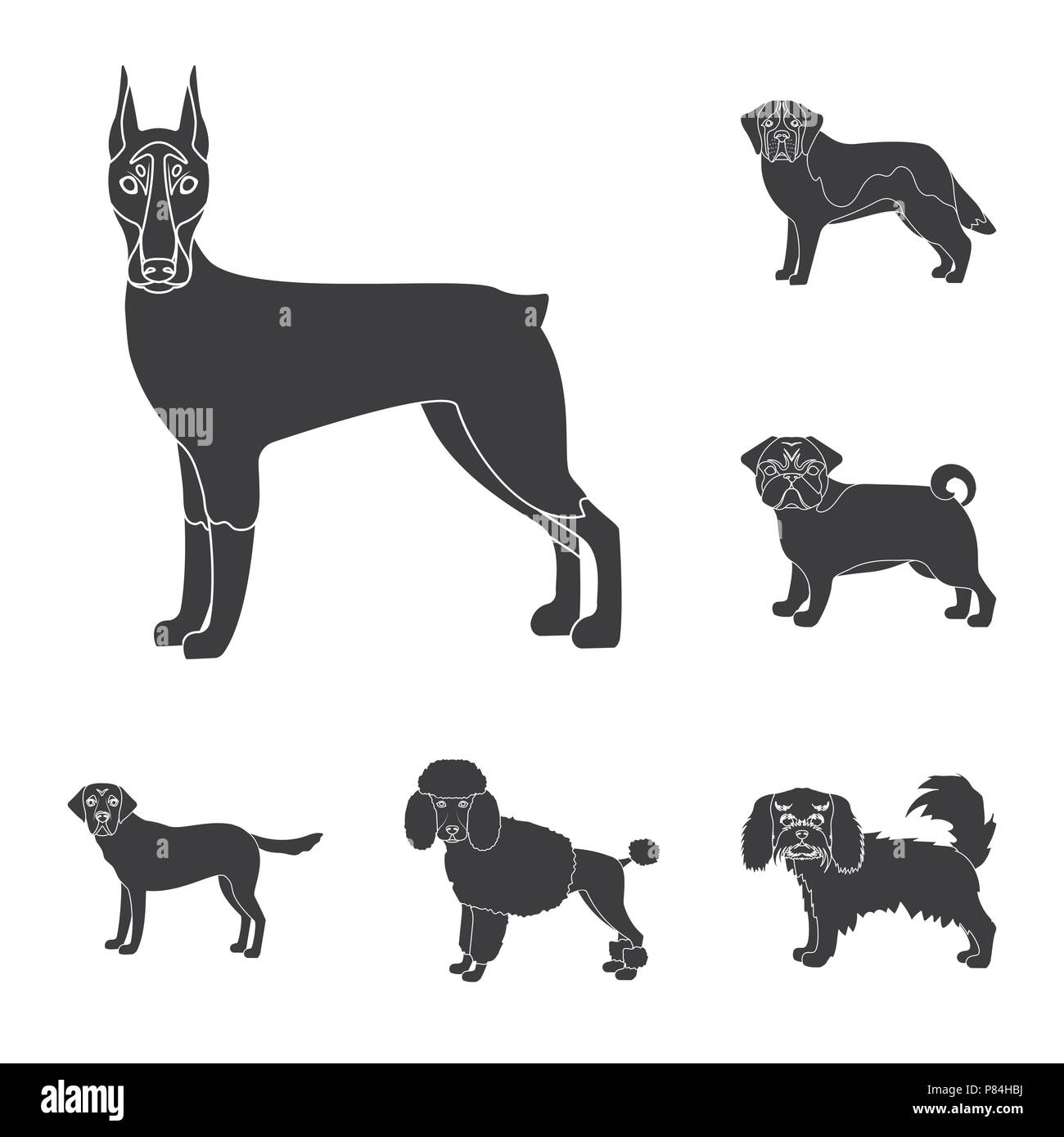Dog breeds black icons in set collection for design.Dog pet vector ...