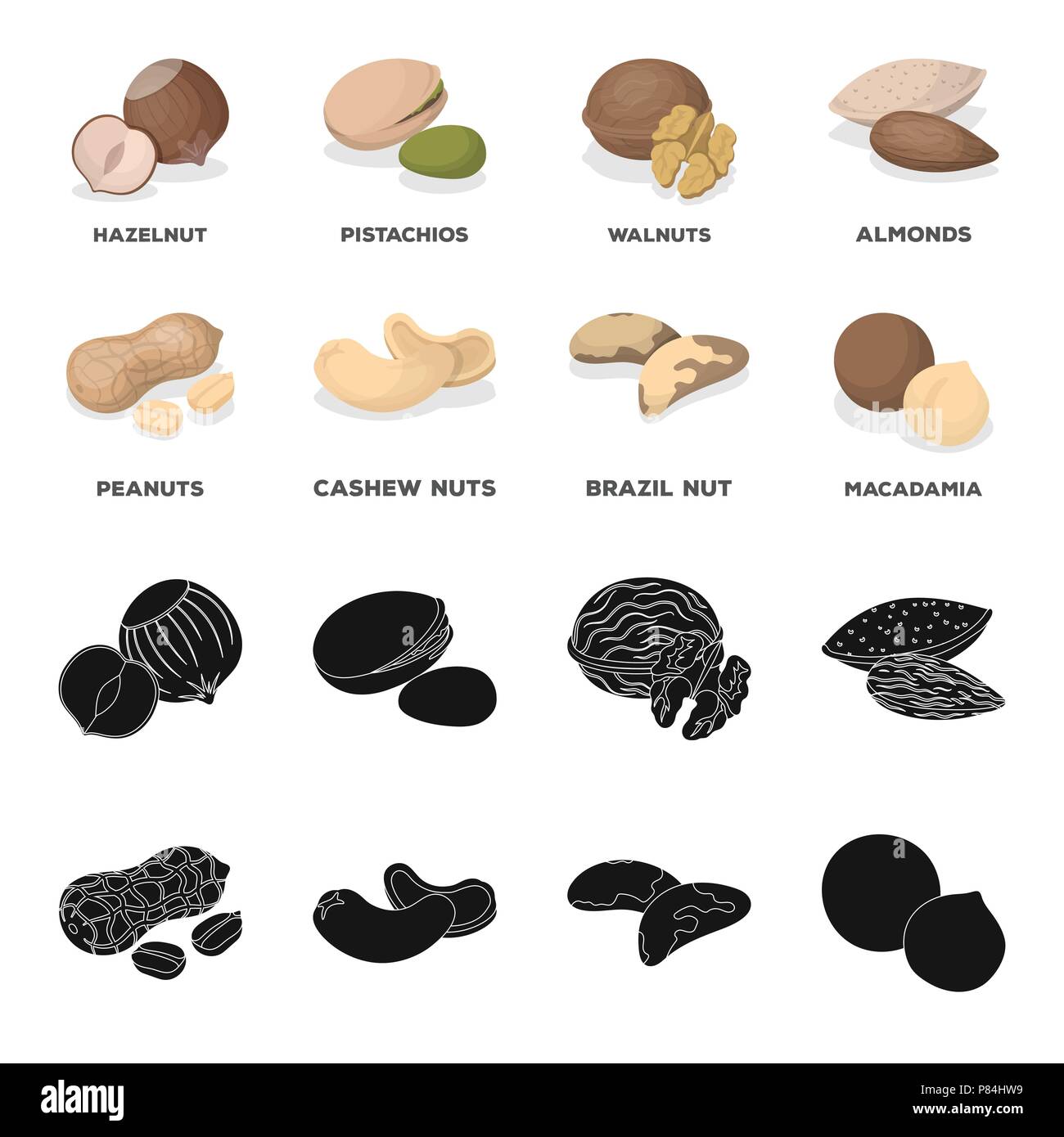Peanuts, cashews, brazil nuts, macadamia.Different kinds of nuts set ...
