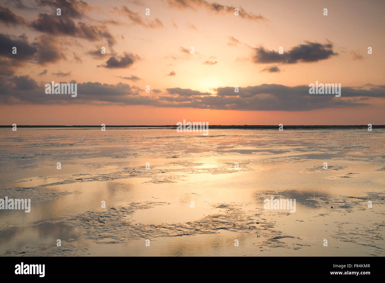 barr-al-hikman-hi-res-stock-photography-and-images-alamy