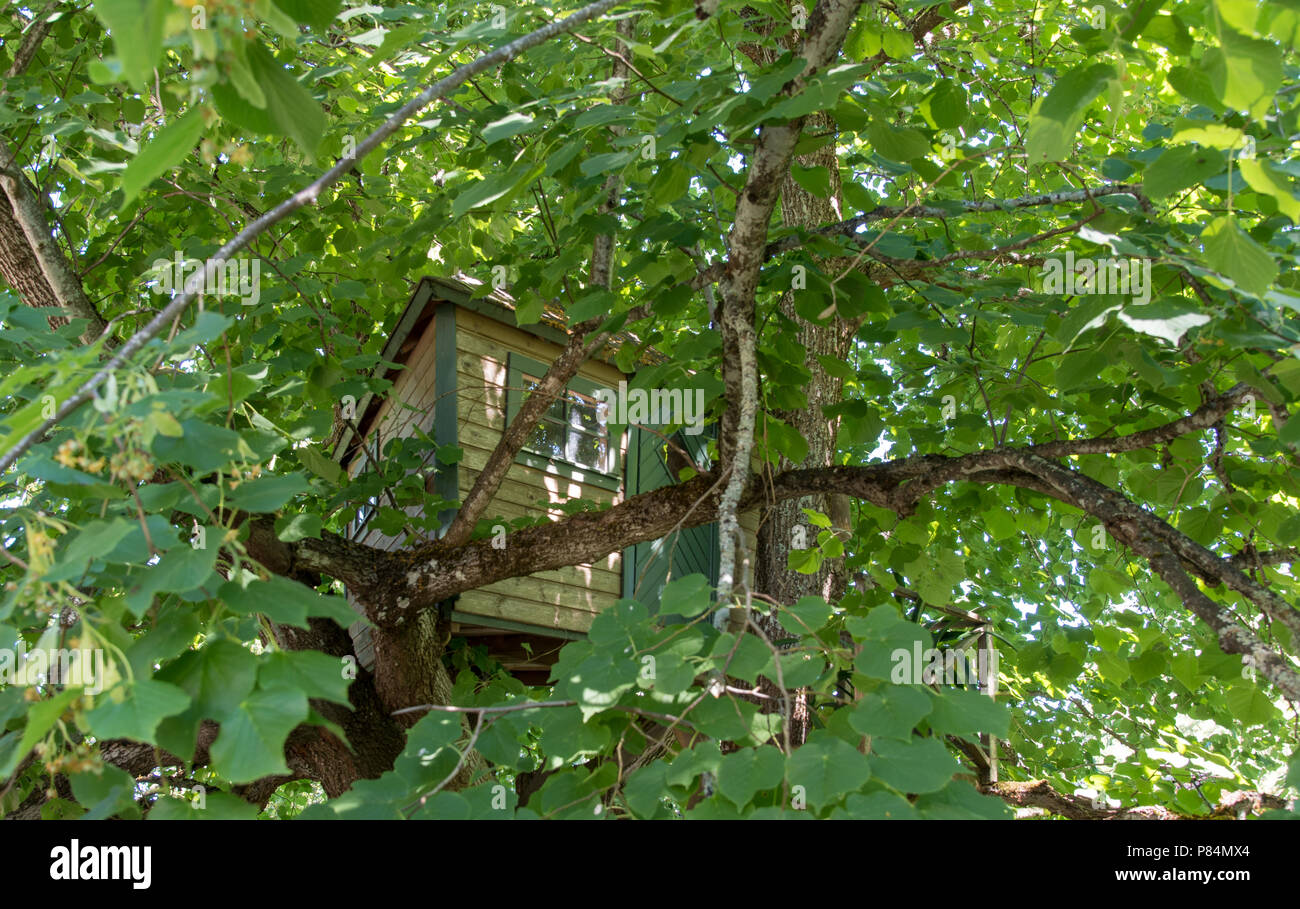 tree house high up in a green tree Stock Photo